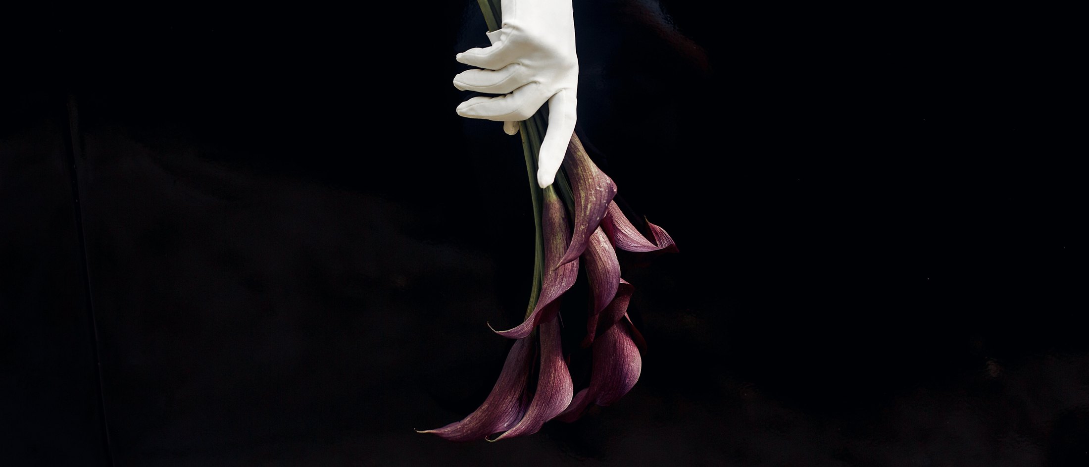 A gloved hand holding calla lilies against the black flank of a car